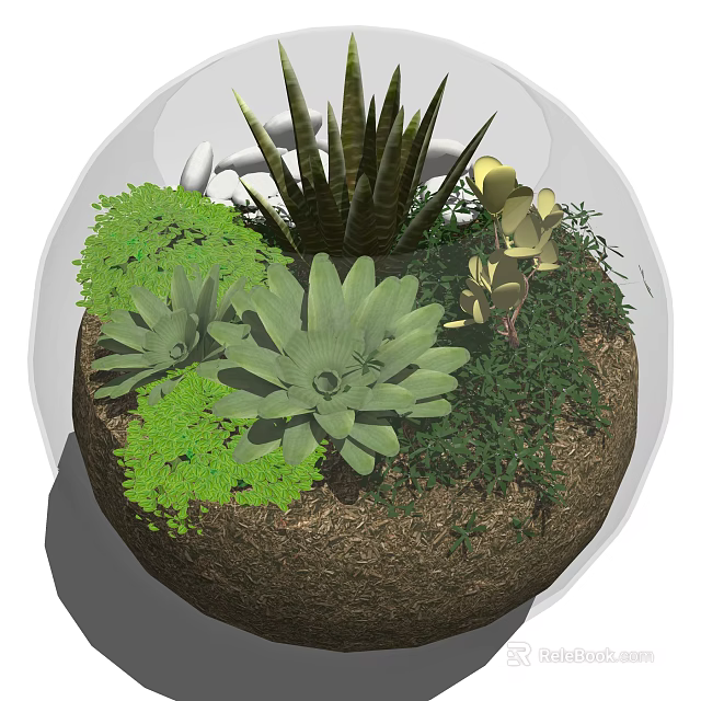 Bonsai Potted Plant With Various Succulents Green Leaves And Golden Foliage In Round Pot 3d model 
