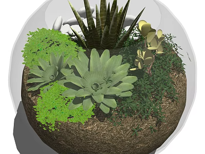 Bonsai Potted Plant With Various Succulents Green Leaves And Golden Foliage In Round Pot 3d model