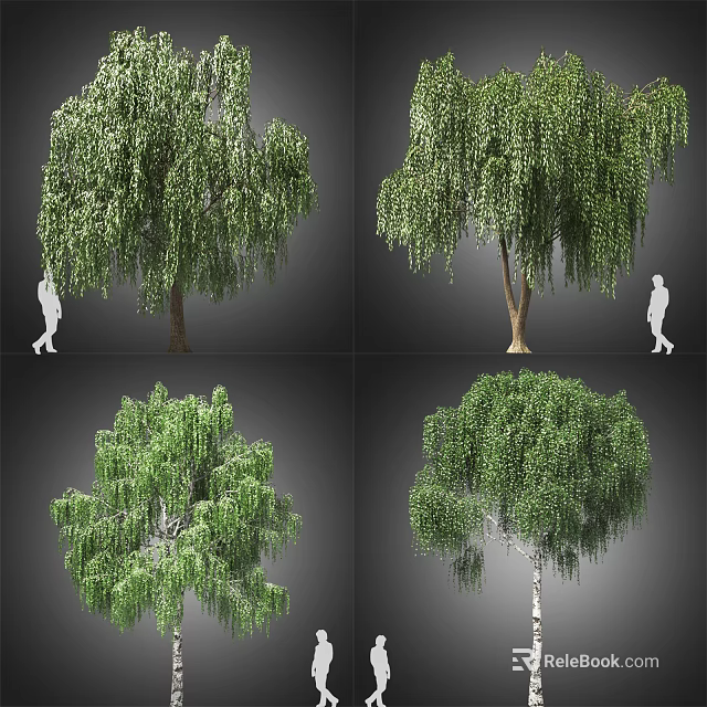 Various Willow Arbor Forms With Hanging Branches Green Foliage And Human Figure For Scale 3d model 