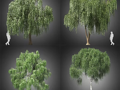 Various Willow Arbor Forms With Hanging Branches Green Foliage And Human Figure For Scale 3d model