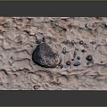 Natural Undulating Sandy Terrain With Large Rock And Scattered Small Pebbles