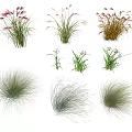 Modern Grass 3d model