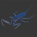 Brown Water Scorpion With Long Legs And Tail On Dark Background