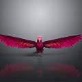 Red Mythical Bird with Spread Wings and Crown on Head Against Gray Background with Reflection