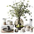 Decorative Ornament Set With Vase Green Plants Ceramic Cups Wooden Tray And Stacked Books