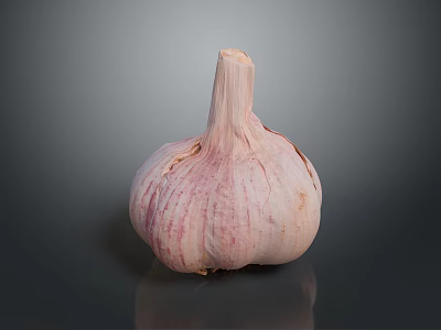 Natural Whole Garlic Bulb With Fresh Pink And White Skin Texture On Dark Surface 3d model
