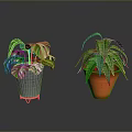 Indoor Green Plants With Different Leaf Patterns In Gray Pot Gold Stand And Red Pot