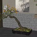 Bonsai Plant With Curved Trunk And Orange Flowers In Square Pot For Indoor Decor