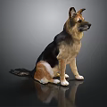 Realistic German Shepherd Dog Sitting On Black Background With Surface Reflection