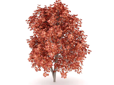 Vibrant Red Leaf Arbor With Lush Autumn Foliage And Strong Trunk 3d model