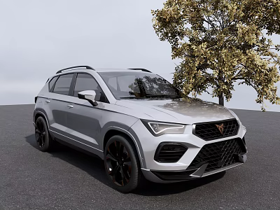Silver Modern SUV With Black Wheels Parked By Tree On Asphalt Ground 3d model