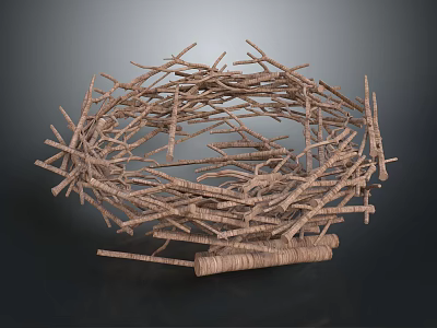 Natural Circular Twig Structure Formed By Intertwined Branches As Decorative Piece 3d model