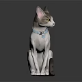 Cute Striped And White Cat With Blue Collar In Sitting Posture On Dark Background