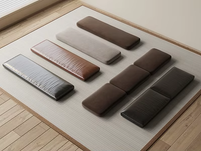 Long Rectangular Cushions in Various Colors and Textures on Light Colored Rug with Wooden Floor 3d model
