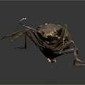 Close Up View Of Shiny Iridescent Beetle With Metallic Sheen On Dark Background