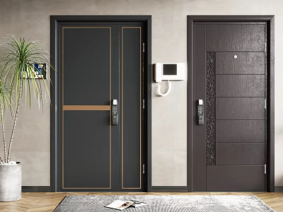 Dark Double and Single Security Doors With Golden Line Accents Vertical Stripes and Modern Handles 3d model