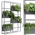 Modern Multi Tiered Metal Shelf With Lush Bonsai Potted Plants And Green Foliage
