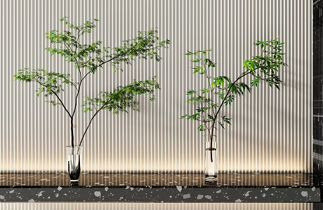 modern vase hydroponic green plant 3d model