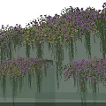 Lush Purple And Yellow Flowers With Hanging Vines Decorating Green Wall