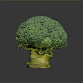 Vibrant Fresh Green Broccoli with Yellow Stem on Gray Background