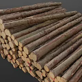 Natural Wood Logs Stacked Pile of Cut Tree Trunks in Rustic Forest