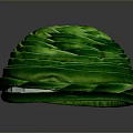 Fresh Green Spiral Vegetable Roll With Tightly Wrapped Leaves