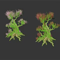 Two Unique Plants with Twisted Trunks Pink Red Flowers Exposed Roots on Black Background Reflections