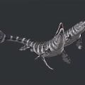Prehistoric Aquatic Ichthyosaurus With Striped Body Long Snout And Sharp Teeth