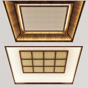 New Chinese Ceiling 3d model
