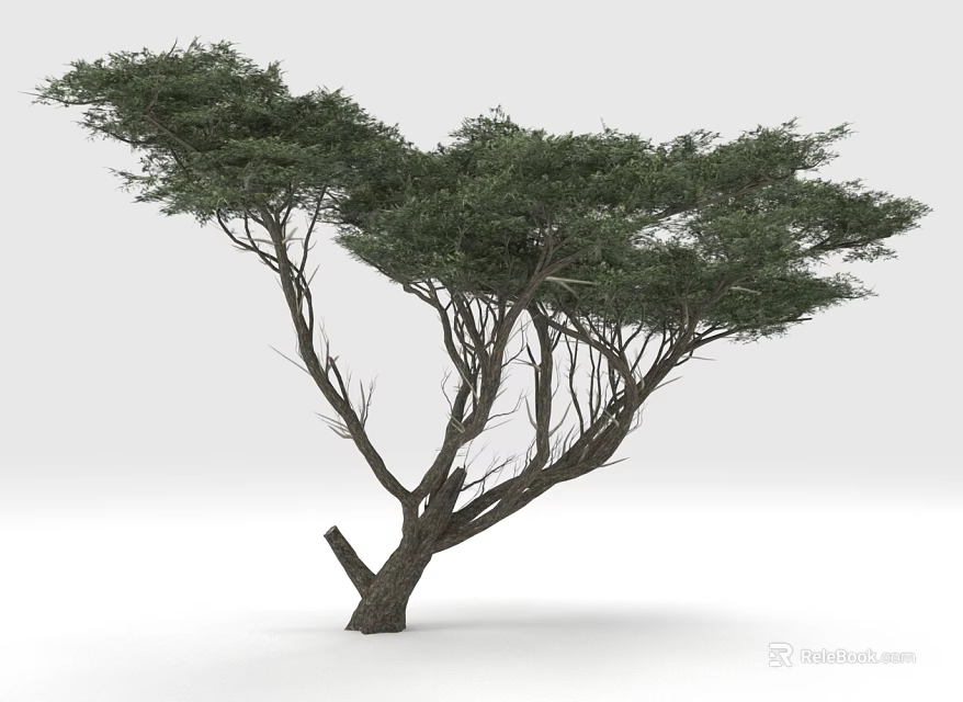 Lush Green Tree With Spreading Branches And Dense Foliage In Isolated Setting 3d model 