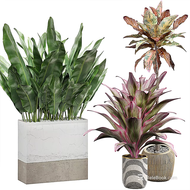 Potted Bonsai Plants With Various Green Leaves And Colorful Foliage In Decorative Pots 3d model 