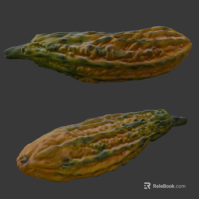 Fresh Ripe Bitter Melon Vegetables With Green And Yellow Striped Textured Skin 3d model 