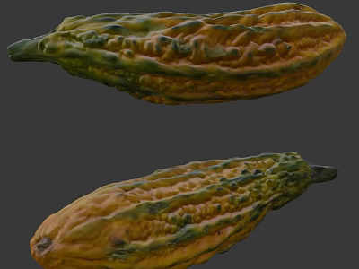 Fresh Ripe Bitter Melon Vegetables With Green And Yellow Striped Textured Skin 3d model