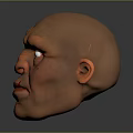3D Character Head Model With Wrinkled Skin Green Eyes And Red Lips