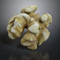 Fresh Whole Walnut With Natural Brown Shell And Detailed Textured Surface
