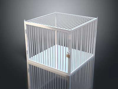 White Cubic Metal Cage Structure With Lock And Vertical Bars Design 3d model