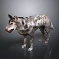 3D Render Of Gray And White Spotted Wolf With Open Mouth Standing On Dark Background