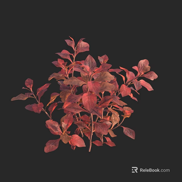 Vibrant Aquatic Plants With Red Leaves And Lush Foliage In Natural Habitat 3d model 