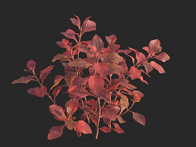 Vibrant Aquatic Plants With Red Leaves And Lush Foliage In Natural Habitat 3d model