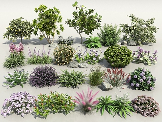 Flower Shrub Combination Shrub Plant Combination Landscape Green Planting Flowers and Plants Fig Tree Outdoor Flowers Greening Flowers and Plants Pink Lavender Fruit Tree 3d model