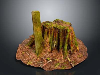 Tree Stump with Green Moss Surrounded by Dirt and Twigs Detailed Natural Forest Floor 3d model