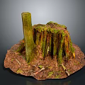 Tree Stump with Green Moss Surrounded by Dirt and Twigs Detailed Natural Forest Floor