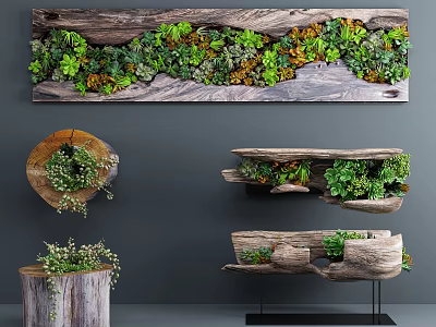 Stone Wood Decorative Pieces With Green Plants On Wall Hangings Shelves And Stools 3d model