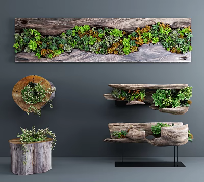 Stone Wood Decorative Pieces With Green Plants On Wall Hangings Shelves And Stools 3d model