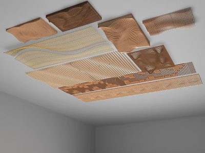 Elegant Contemporary Ceiling Design With Diverse Shaped Panels And Textured Details 3d model