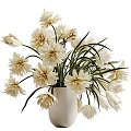 White Ceramic Vase With Fresh White Flowers and Green Leaves for Home Decorative Arrangement