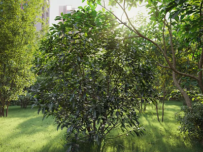 Residential Landscape Design Featuring Lush Green Trees Sunlit Lawn And Natural Greenery 3d model