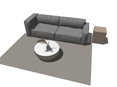 Two Seater Sofa Living Room Setting With Round Coffee Table Plant Decoration Side Table Rug 3d model