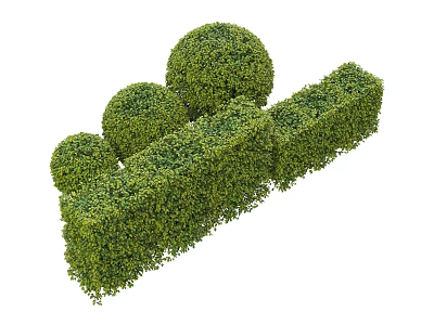 Neatly Trimmed Garden Shrubs With Spherical Topiaries And Rectangular Hedge Borders 3d model