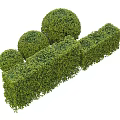 Neatly Trimmed Garden Shrubs With Spherical Topiaries And Rectangular Hedge Borders